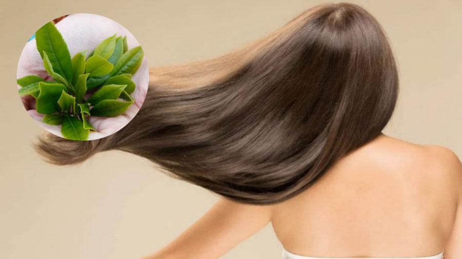 Lợi ích của trà xanh với tóc