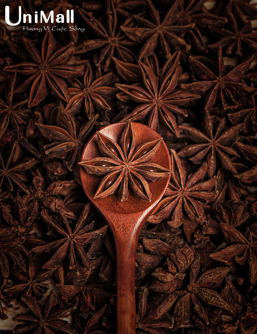 Hoa hồi có lợi cho giấc ngủ