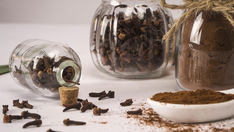 Bột đinh hương chống lại sự lão hóa