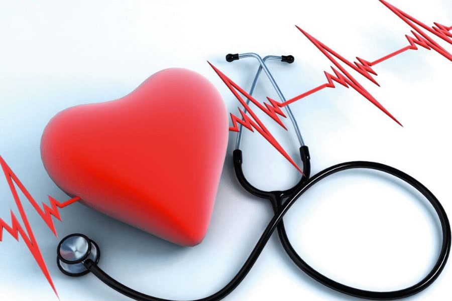 EGCG hỗ trợ quá trình trao đổi chất lành mạnh