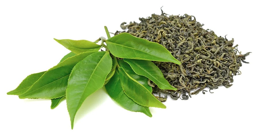 Lá trà xanh tươi và trà xanh khô