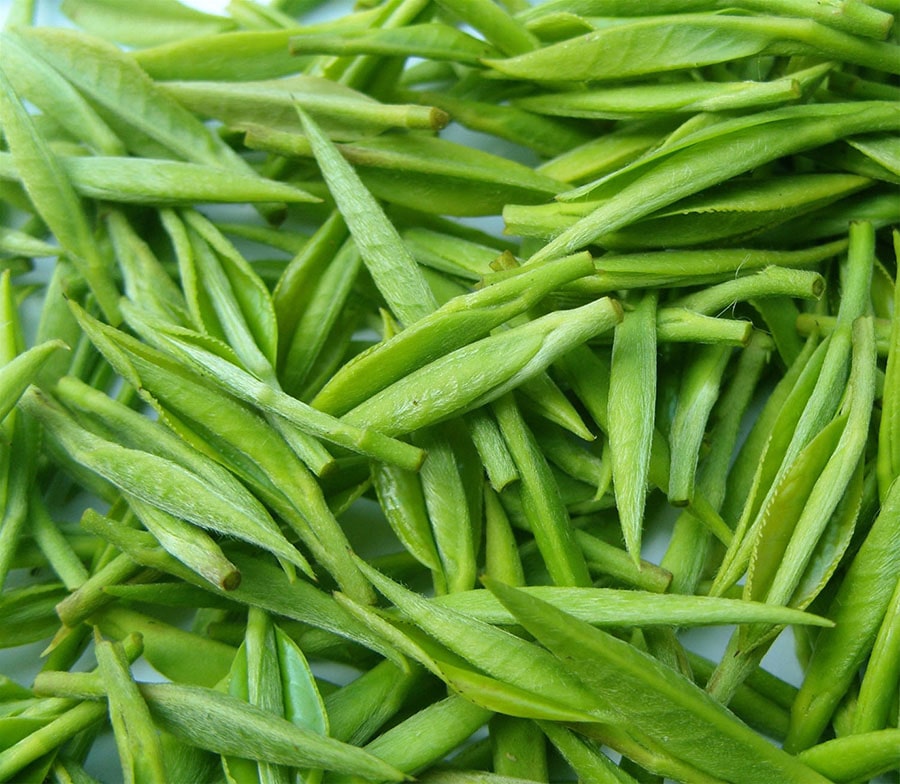 đặc điểm của trà đinh