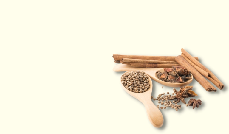 SPICES SEEDS, FRUITS, STEMS