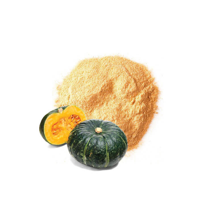 Pumpkin Powder