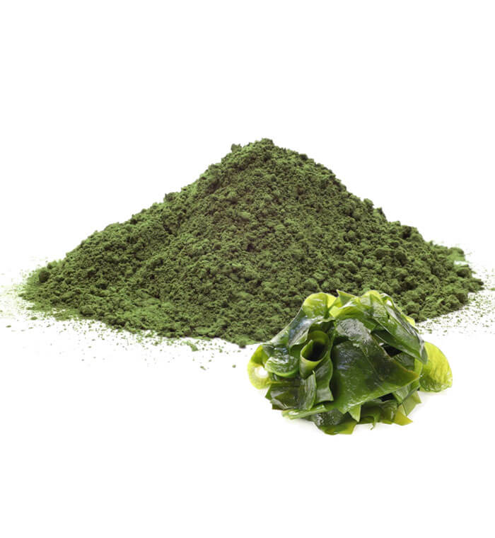 Seaweed Powder