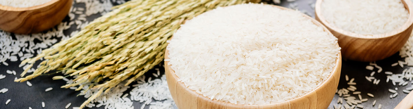 Rice