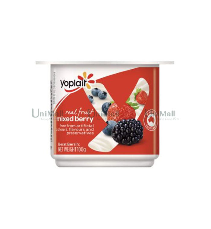 YOPLAIT Berry Punnet