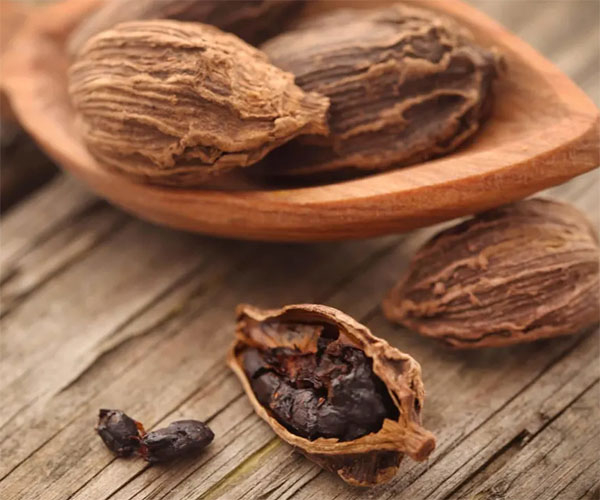 Thảo quả là gì? Mua thảo quả ở đâu chất lượng với giá tốt?