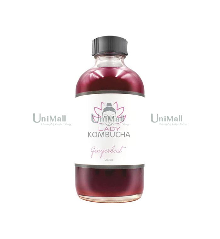 Lady Kombucha Gingerbeet Kombucha tea