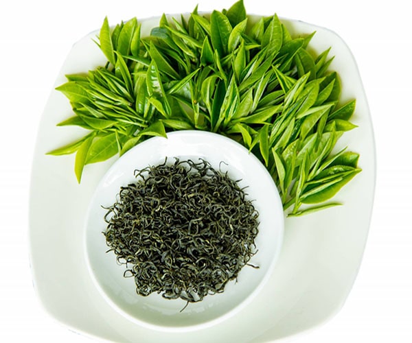 Trà nõn tôm là gì? Đặc điểm trà nõn tôm vùng Tân Cương