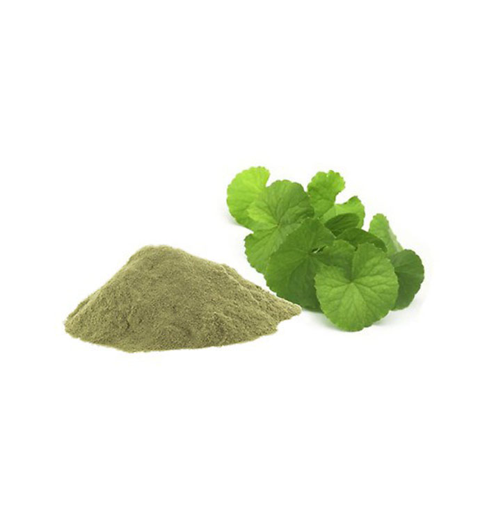 Pennywort Powder