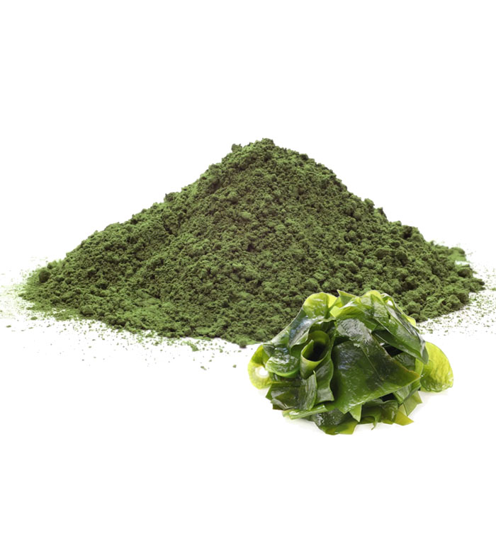 Seaweed Powder