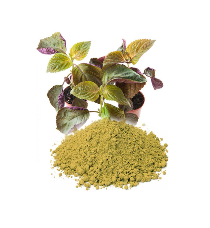 Perilla Powder
